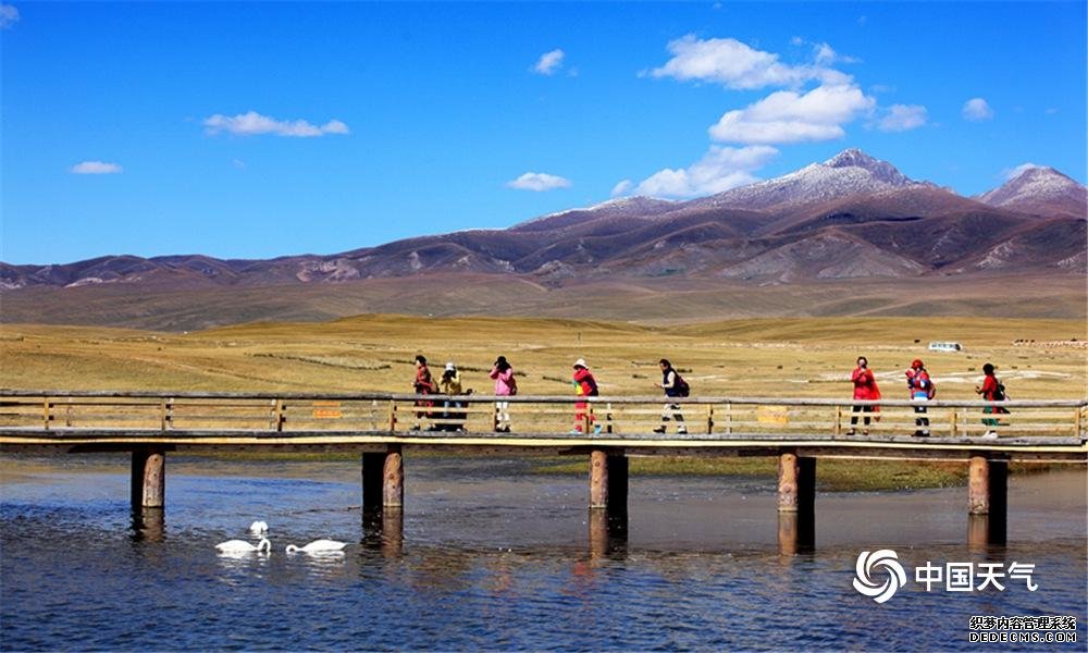 新疆的秋天，色彩斑斓。这里既有一泄千里的河流、明镜般的高山湖泊，万顷碧波的草原，又有光怪陆离的戈壁幻境。或有牧人策马扬鞭赶着牛羊而过，或有老鹰盘旋俯冲，或有天鹅在湖中嬉戏，野马野骆驼也会碰巧路过……和谐而自然，构成一幅完美的动感生态画卷。（陈向晖 摄）