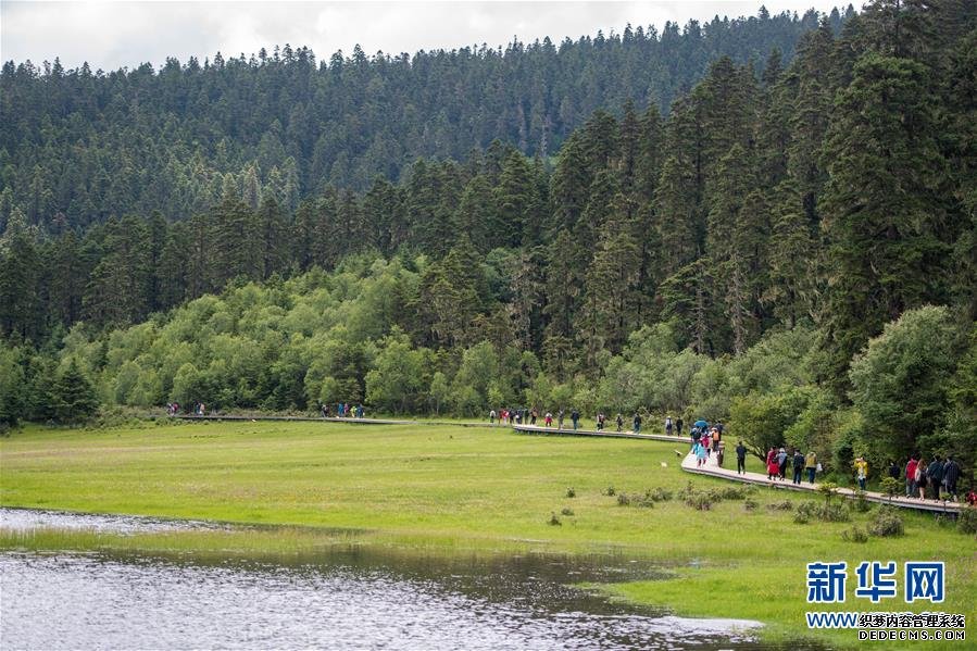 “绿水青山是我们共同的饭碗”——普达措国家公园村民的“生态转身”
