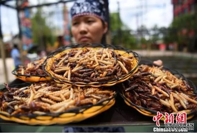 昆虫或将成人类新食物？云南人：我们早已赢在起跑线（4）