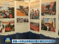 新疆人权事业发展进步图