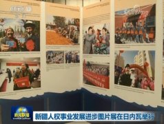 新疆人权事业发展进步图