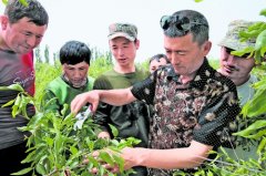 培育产业促脱贫 稳定增收