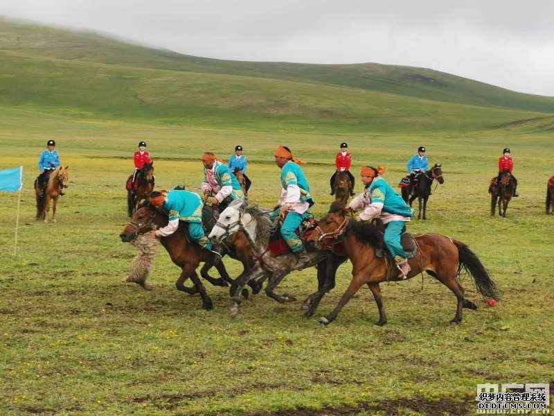 中国旅游新闻网：新疆五地七方合作 共建北疆风