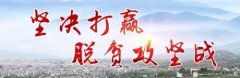 “110”网络扶贫创新活动