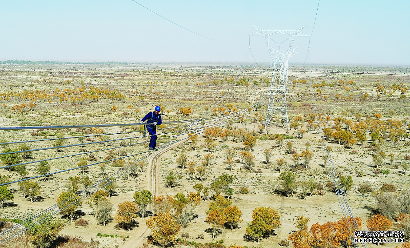 建设生态电网 服务美丽新疆