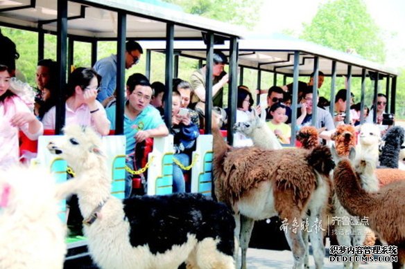 赏泉水品美食！济南＂庆中秋迎国庆＂旅游指南出炉