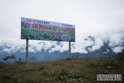 工于至诚 彝路同行：中国工商银行的金阳扶贫模式