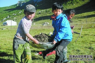 学前“放飞”真的好吗