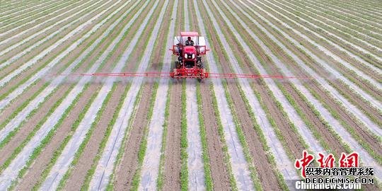 与传统植保机相比，“智能农机”具有喷药、施肥等多种功能，有效喷洒宽幅达19米。　杜炳勋 摄