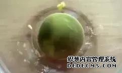 煮鸡蛋有了绿膜会诱发肠癌?这个绿膜到底是什么东西?