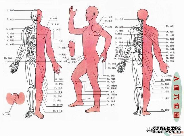 穴位就是药!18个对人体大补的穴位,一个穴位一张图,5分钟就懂