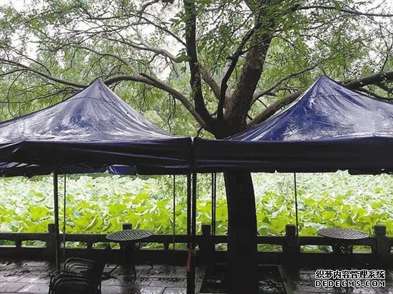 端午江南觅美食开启不一样的城市游