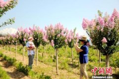 甘肃徽县“苗旅融合”：