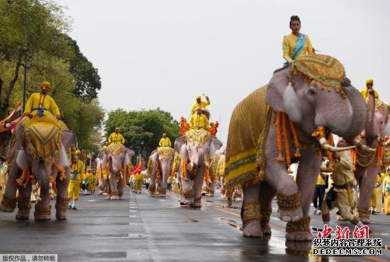 资料图：当地时间2019年5月7日，泰国曼谷大皇宫附近，象夫骑着大象民众一起游行，向泰国国王玛哈·哇集拉隆功致敬。