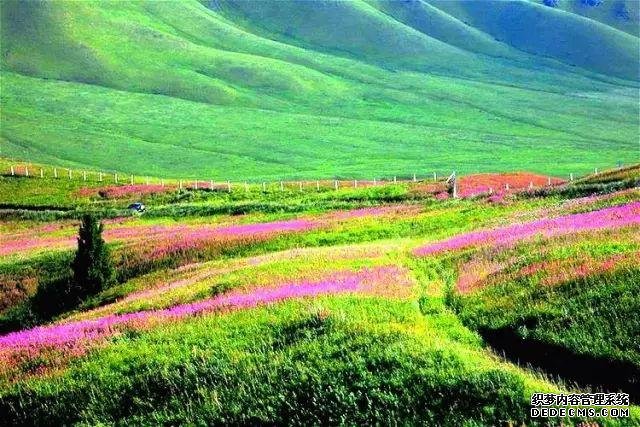 新疆竟有个地方，它回到祖国怀抱的时间比香港还晚！美的无法无天