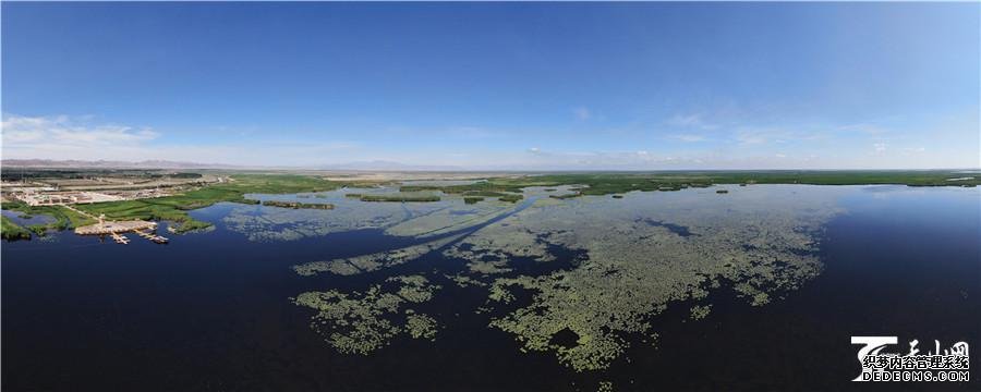 【高清组图】新疆博斯腾湖8万亩野生睡莲绽放宛如“水上花海”