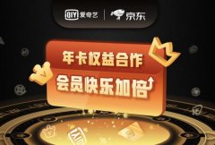 爱奇艺、京东合作模式创