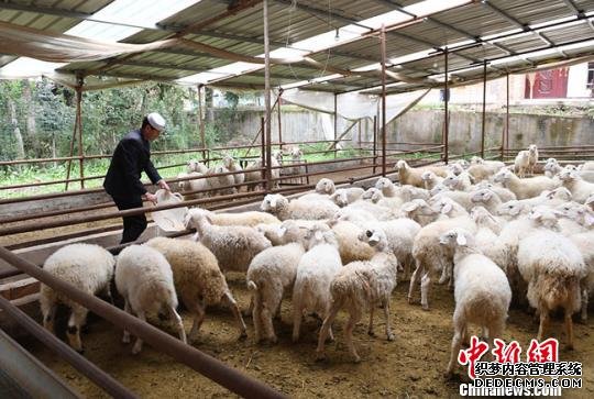 下层扶贫干部甘肃交流“脱贫经” 探随机应变“摘穷帽”