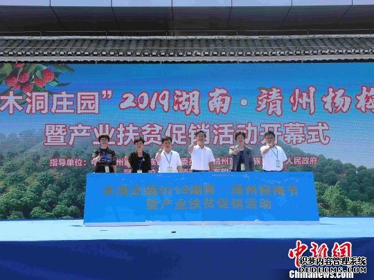 2019湖南靖州杨梅节暨产业扶贫促销活动开幕。　杨语博 摄