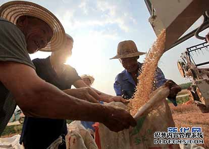 广西桂平：万亩土地流转助力产业扶贫