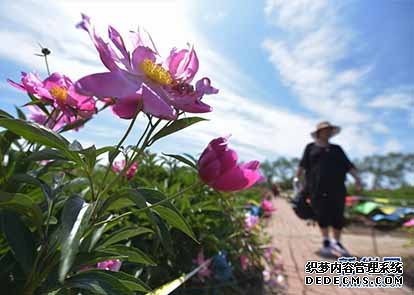 6月10日至16日河北省污染源监测264家企业出现超标