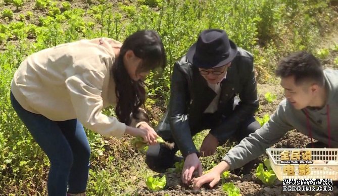 盤起盤落嘗遍人生“舌尖上的中國”導演陳碩解密“美食電影”