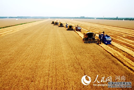 河南西华:一个产粮大县的"减肥"革命
　　西华县10万亩小麦对比田里，麦苗尤其肥壮油绿，麦穗均匀饱满，“减肥”后的提质增效水到渠成。这个农业大县悄然进行着一场农业“比武”……【详细】