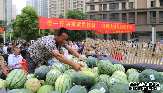 精准造血“拔穷根” ——记六安市金安区马头镇胡楼村产业扶贫