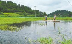 從民間美食到產業新秀 川