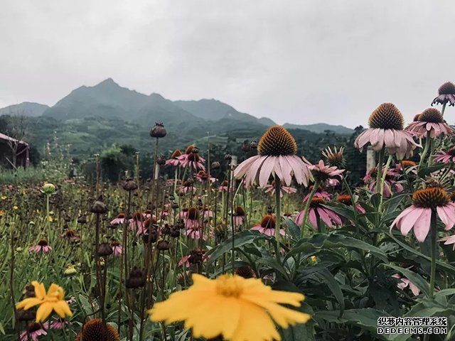 东盟企业家俱乐部美食部落成立