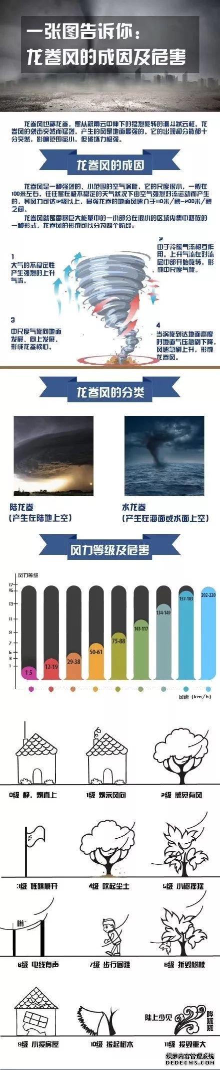 龙卷风来了！他们在行动