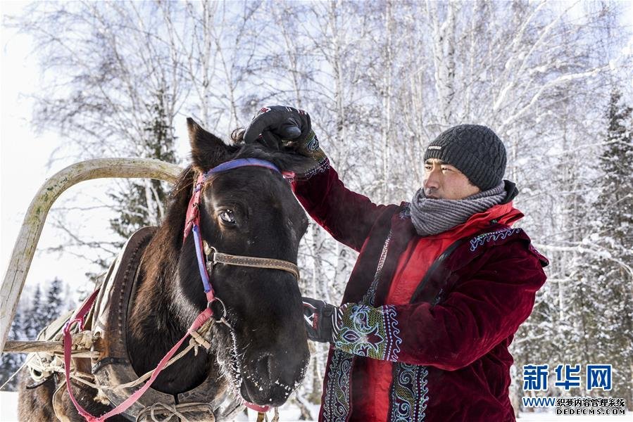 “马的士”驰骋在新疆雪乡