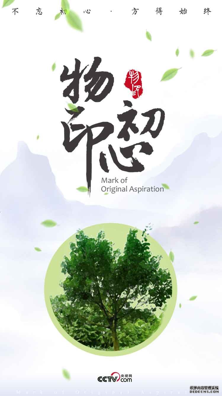 高山榕树望初心