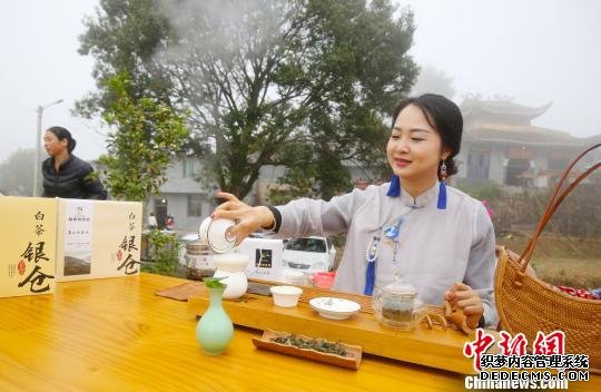 赏茶园品美食 福建寿宁首届高山茶米节引游人