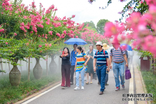 第六届紫薇嘉年华开幕!夏夜游园等你来打卡！