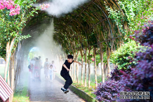 第六届紫薇嘉年华开幕!夏夜游园等你来打卡！