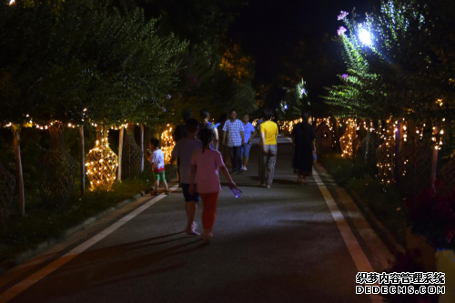 第六届紫薇嘉年华开幕!夏夜游园等你来打卡！