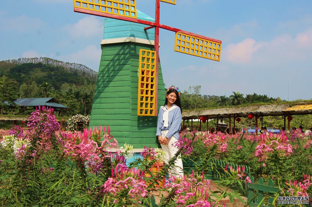 中国旅游新闻网：广州亲子游之盈香生态园，让