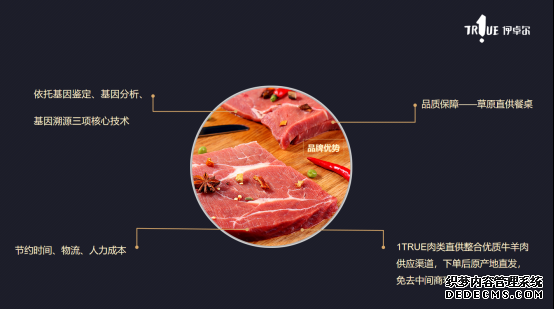 腾格尔：让14亿人都能吃到放心的草原牛羊肉 这