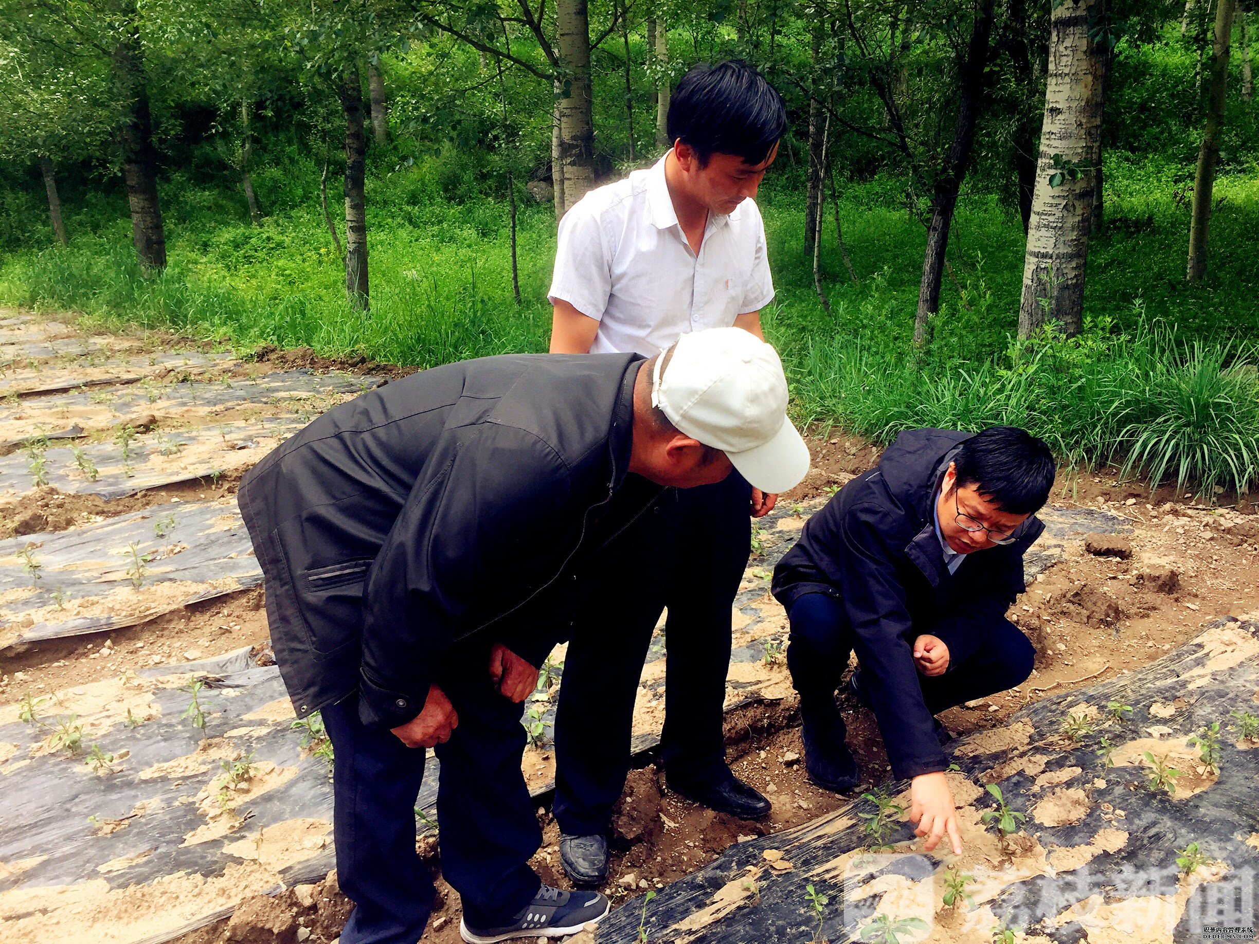 东西部扶贫协作的无锡经验：产业扶贫激活“造血功能”
