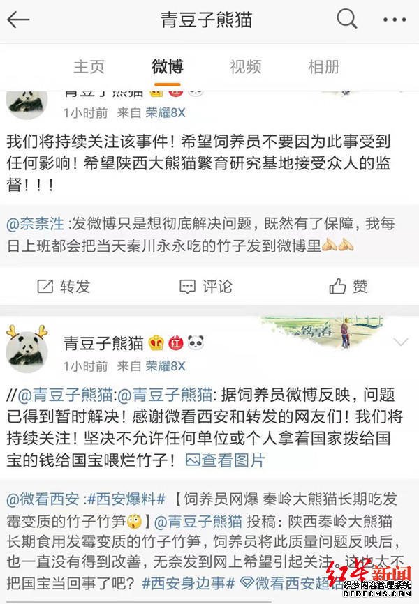 网传大熊猫长期吃变质食物，秦岭野生动物园：