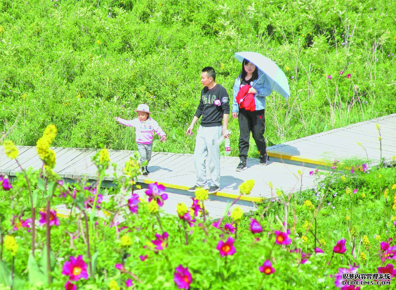 芳香遍地 以花为媒大力促进新疆旅游业发展