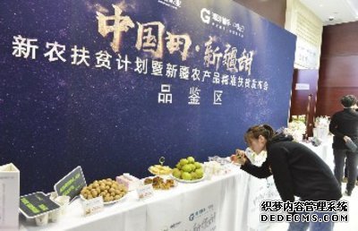 “中国田·新疆甜”新农扶贫计划启动