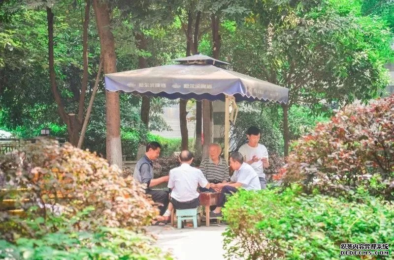 “网红盘”或将为三圣乡最后一个低于2万/㎡产品？