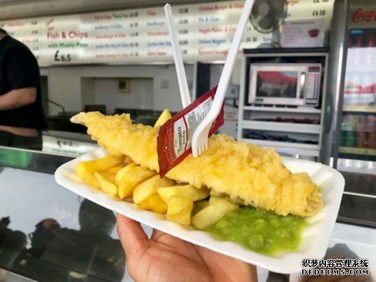 英國布萊頓海灘6隻海鷗追逐游客搶奪其手中美食