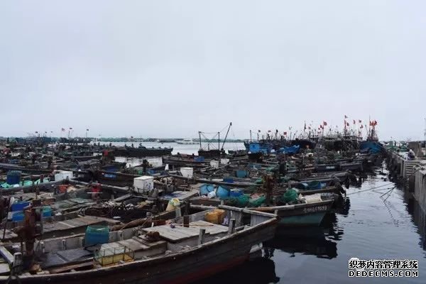 市海洋发展和渔业局积极应对“利奇马”台风 全力做好海洋预报预警和渔业安全工作