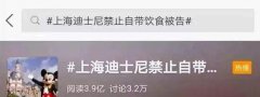 上海迪士尼禁带食物翻包