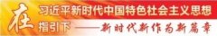 【脱贫攻坚进行时】政府