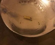 月子中心食物现蛆虫月子