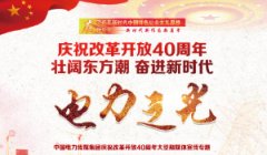 关注丨深能光伏发电项目